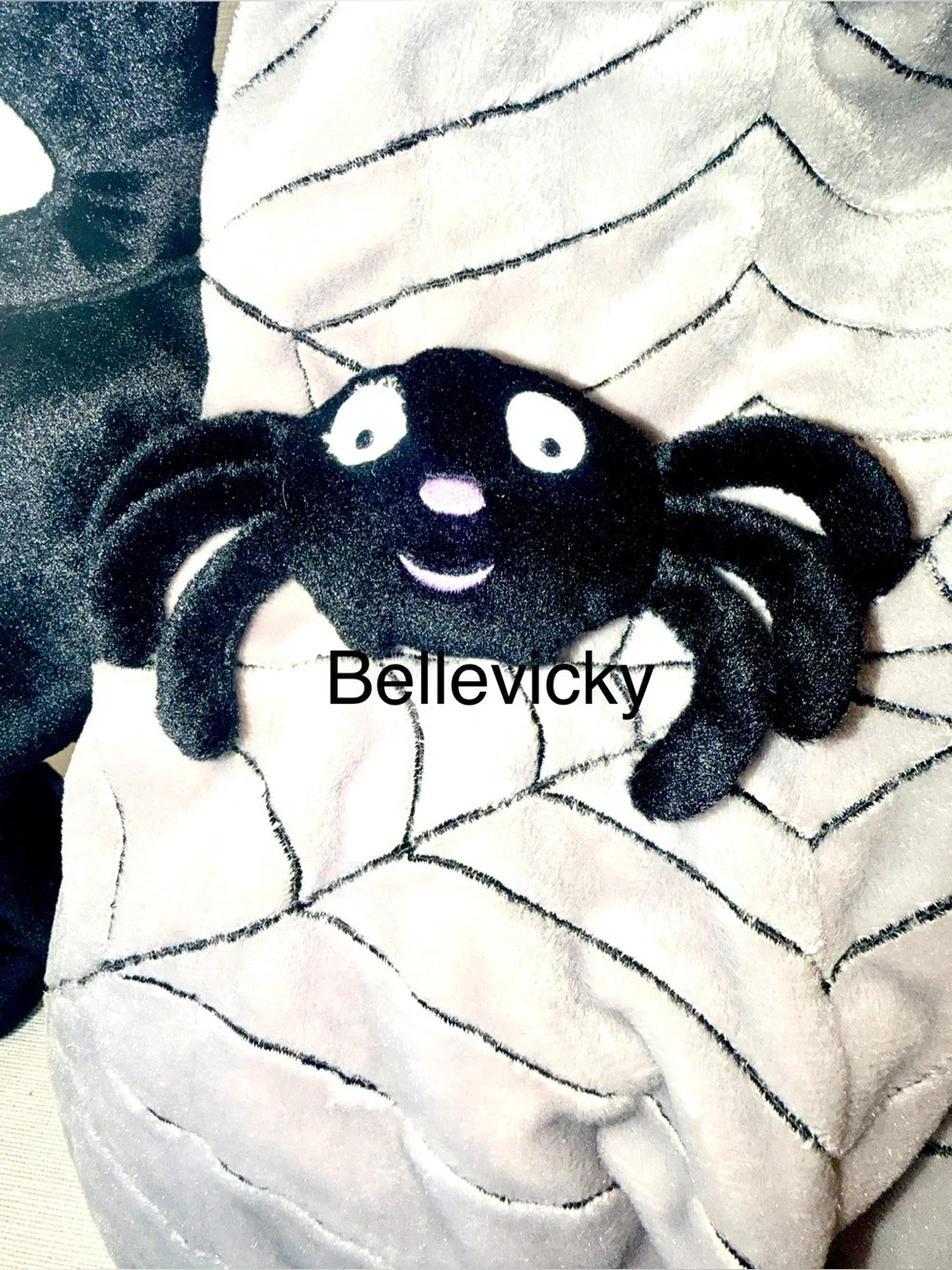 Gray Spider 🕷️ Infant up 24 M Halloween Costume